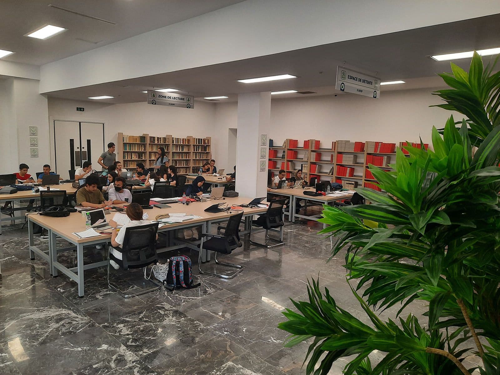 Our "Support" Services