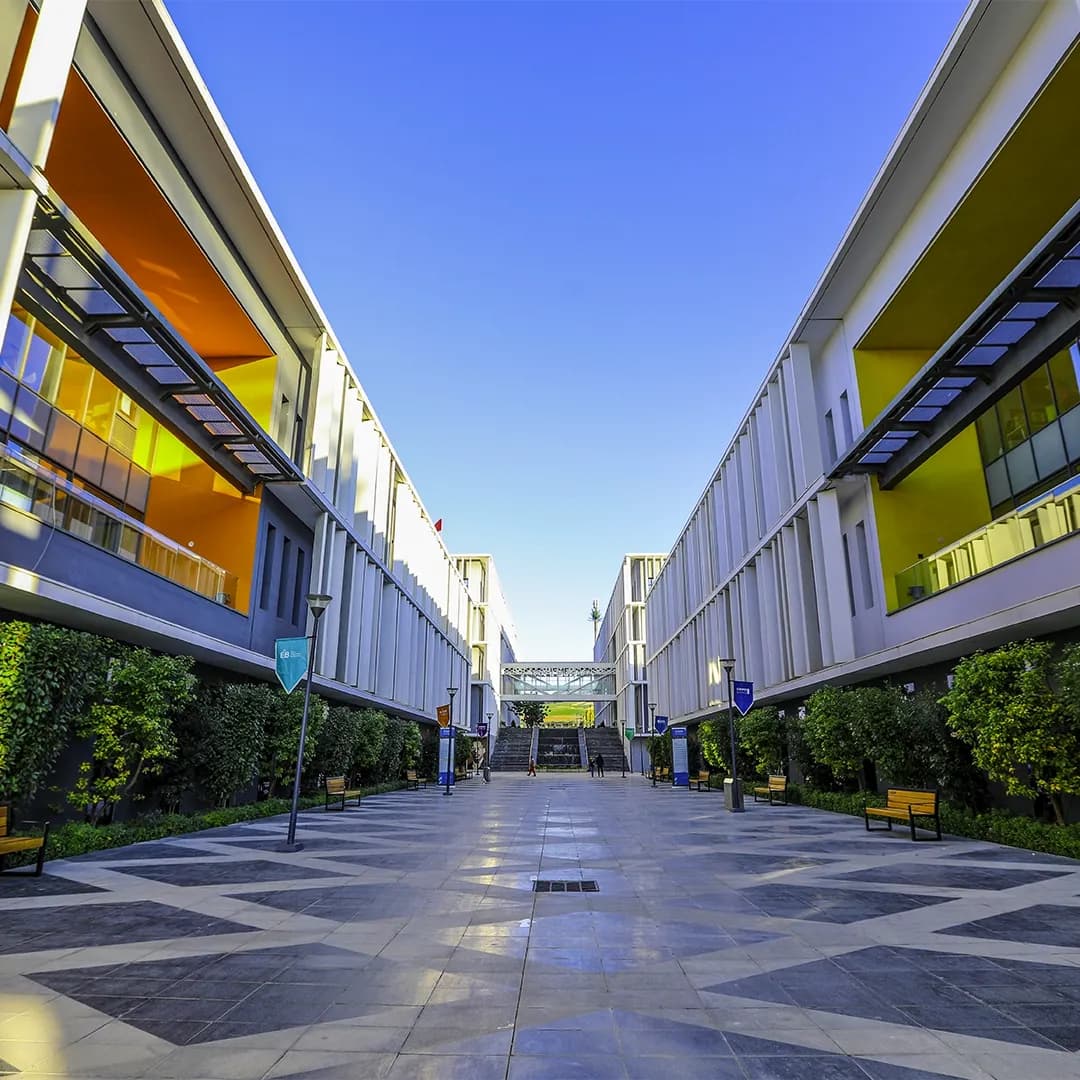 About the <span class="text-main">University</span>