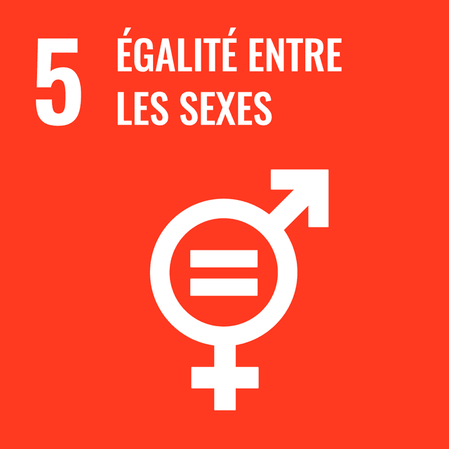 SDG 5 Report: Gender Equality