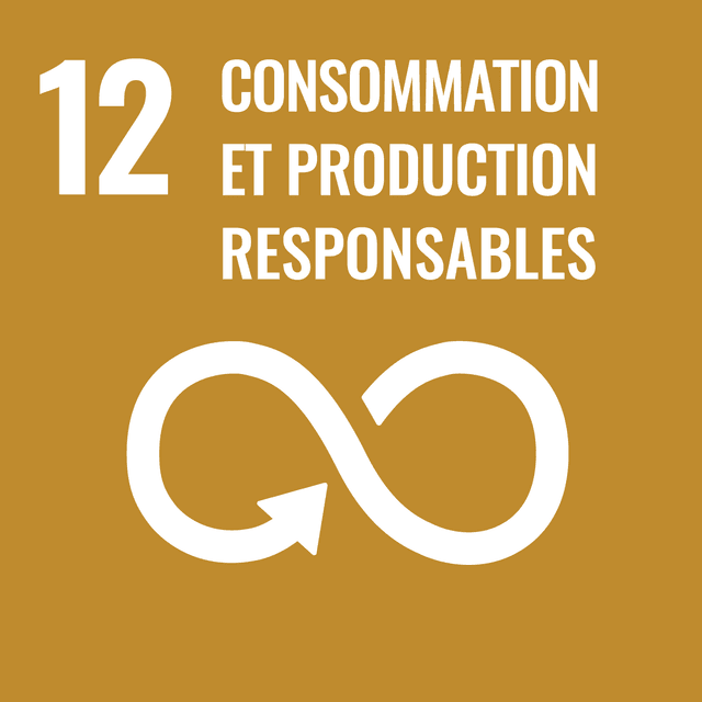 SDG 12 Report: Responsible Consumption and Production