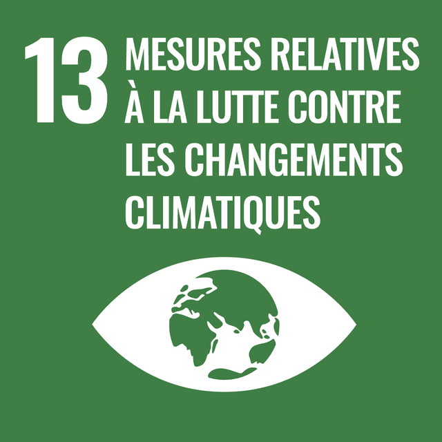 SDG 13 Report: Climate Action