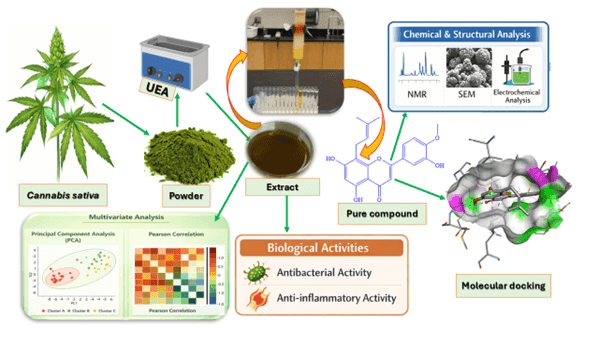 Soutenance de Thèse de Doctorat en "Chimie des substances naturelles et chimie analytique" présentée par M. Héritier UWIKUNDA SERONDO