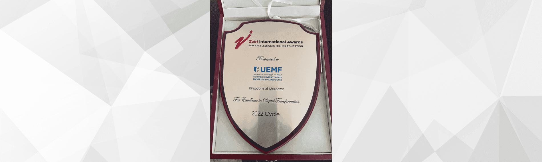 Excellence Award in Digital Transformation