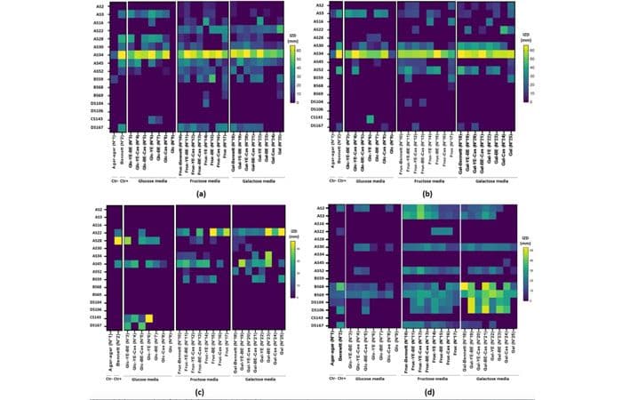 AVIS  DE SOUTENANCE DE L’HABILITATION UNIVERSITAIRE