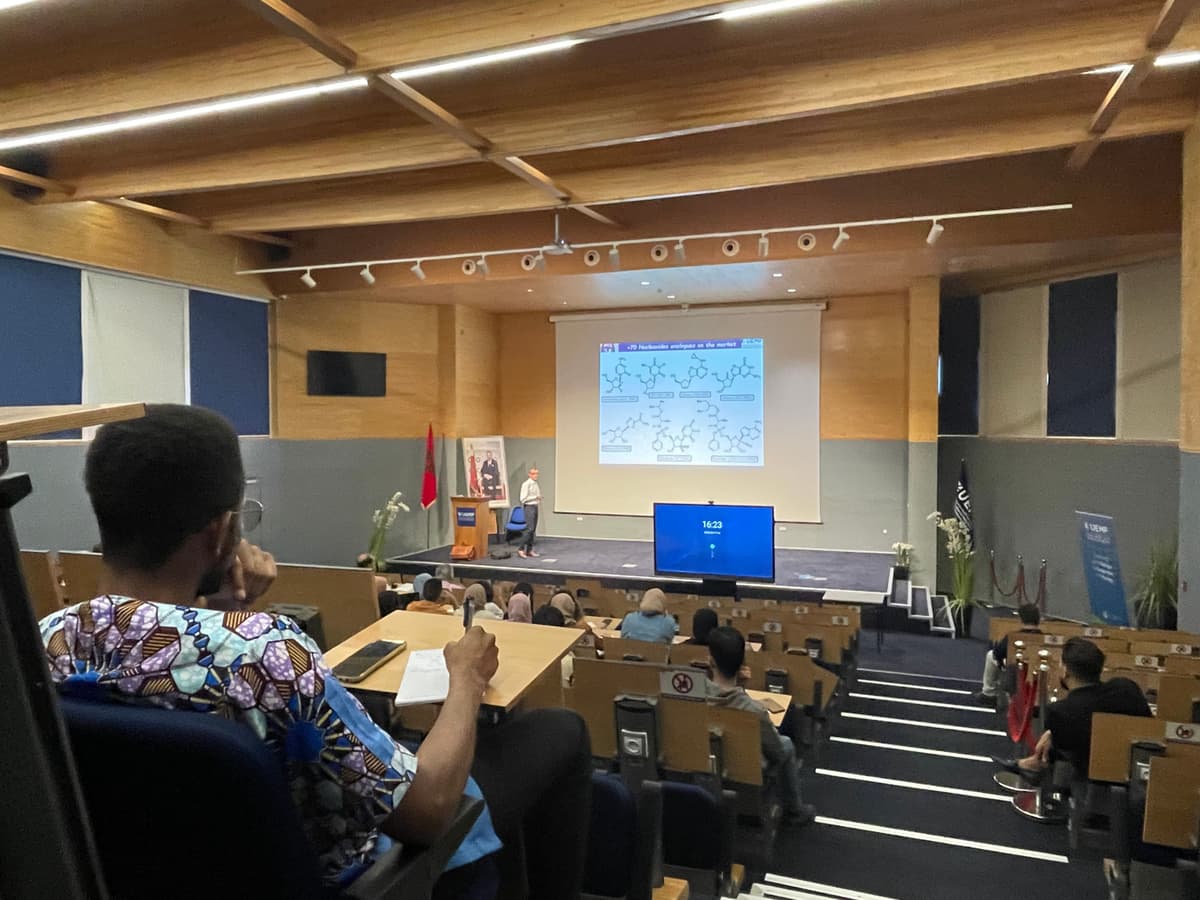 Synthèse de nouveaux analogues C-nucléosides quaternarisés en position anomérique comme agents antiviraux potentiels