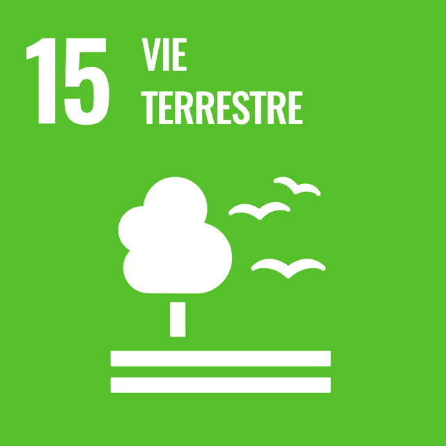 Rapport ODD 15 : Vie terrestre 