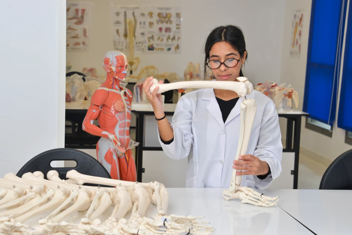 /uploads/Faculte_des_Sciences_Infirmieres_et_Techniques_de_Sante_f5617bac22.webp