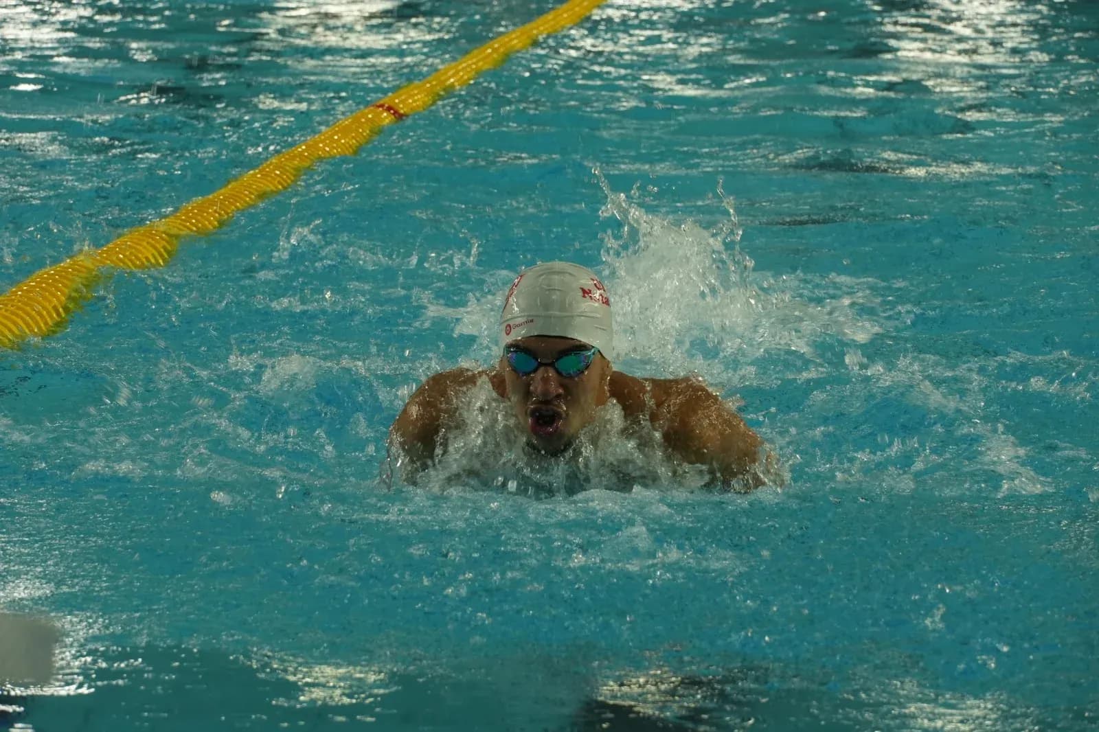 L’Université Euromed de Fès accueille les Championnats du Maroc de natation