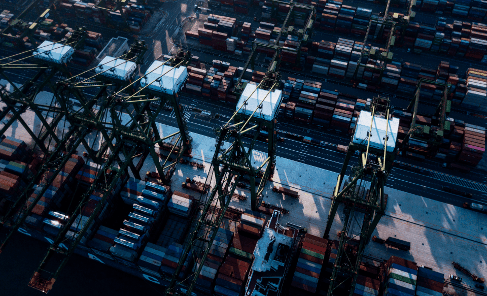 Pr. Othmane Benmoussa explique comment réagir efficacement aux perturbations écosystémiques dans son article sur Média 24