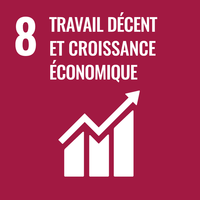 Rapport ODD 8 : Travail décent et croissance